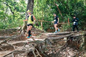 BIB: 
                            <button type="button" onclick="openModal(27721958)" class="btn btn-primary btn-sm float-right btn-popup" data-toggle="modal" data-target=".modal-high-quality">
                        <i class="fas fa-shopping-cart"></i> Add to Cart
                    </button>
                                            <button type="button" onclick="isThisMe(27721958, true)" class="btn btn-success btn-sm float-right btn-popup btn-isme hidden" data-toggle="tooltip" data-placement="bottom" title="นี่คือรูปของคุณใช่ไหม คลิกที่นี่เพื่อเอาเข้าอัลบั้ม">
                        <i class="fas fa-plus"></i> Add to album
                    </button>
                    <button type="button" onclick="isThisMe(27721958, false)" class="btn btn-warning btn-sm float-right btn-popup btn-isnotme hidden">
                        <i class="fas fa-ban"></i> Remove from album
                    </button>